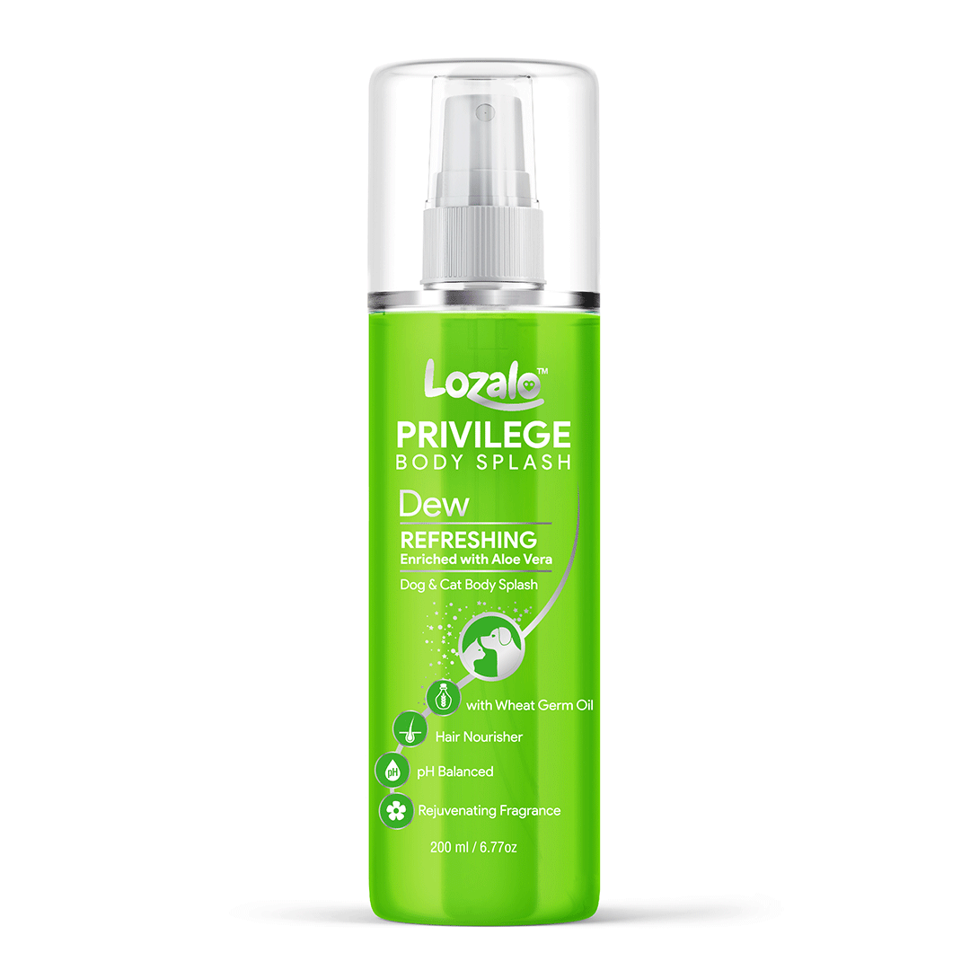 Lozalo Privilege Body Splash Perfume 200 ml (Dew)