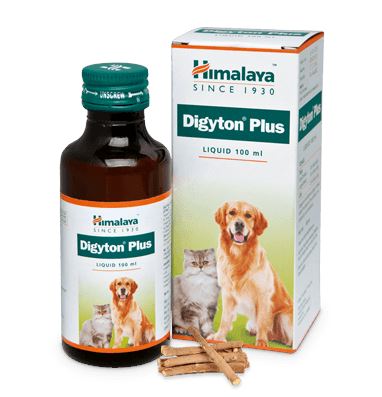 Digyton Plus syrup 100 ml