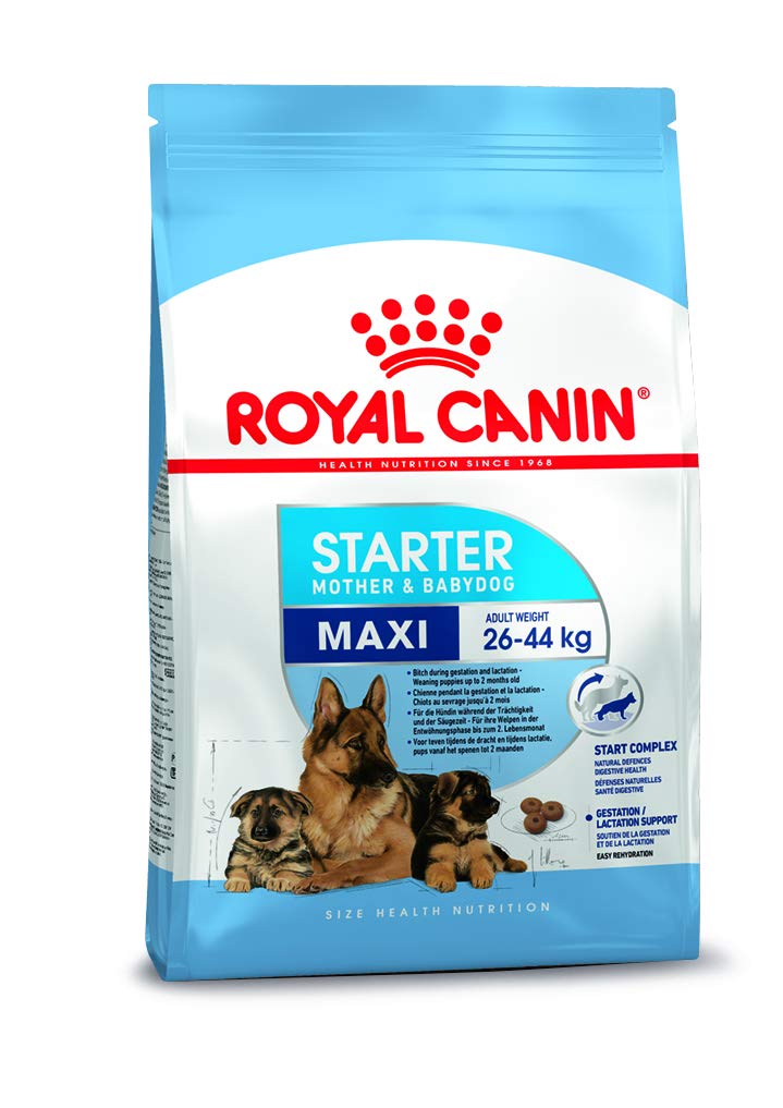 Royal Canin Maxi Starter